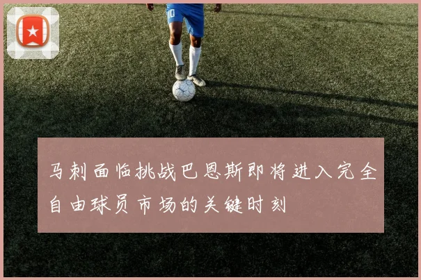 马刺面临挑战巴恩斯即将进入完全自由球员市场的关键时刻