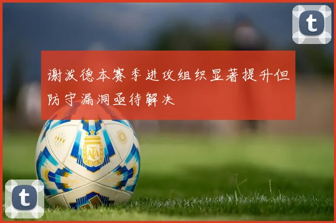 谢泼德本赛季进攻组织显著提升但防守漏洞亟待解决